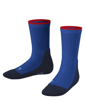 Calzini Bambino Falke Active Everyday Socks Blu | EOLN79061