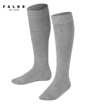 Calzini Bambino Falke Family Knee-high Socks Grigie | IGMX03168