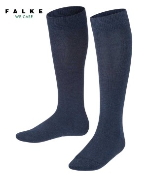 Calzini Bambino Falke Family Knee-high Socks Blu | SXTI16347