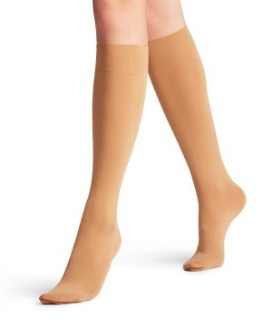 Calzini Donna Falke Seidenglatt 40 DEN Knee-high Socks Beige | DUCF71865