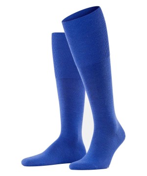 Calzini Uomo Falke Airport Knee-high Socks Blu | UNHP14950