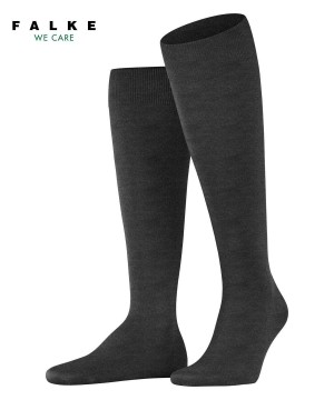 Calzini Uomo Falke ClimaWool Knee-high Socks Grigie | HZFT06137