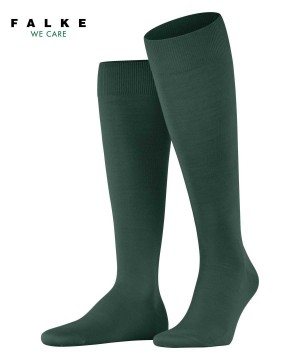 Calzini Uomo Falke ClimaWool Knee-high Socks Verdi | BIZU21867