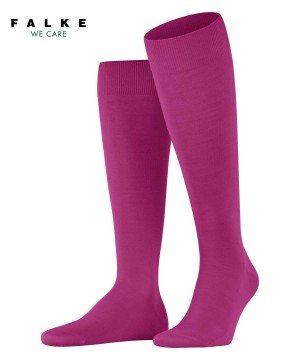 Calzini Uomo Falke ClimaWool Knee-high Socks Rosse | GSAI39782