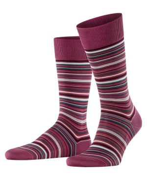 Calzini Uomo Falke Microblock Socks Rosa | PWTD91084