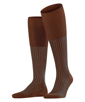 Calzini Uomo Falke Oxford Stripe Knee-high Socks Marroni | YQBA24156