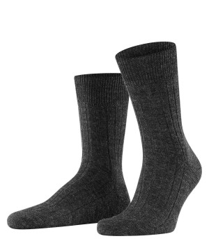 Calzini Uomo Falke Teppich im Schuh Socks Grigie | JLEC60319