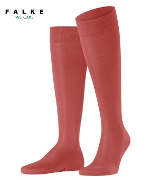 Calzini Uomo Falke Tiago Knee-high Socks Rosse | UFBN74158