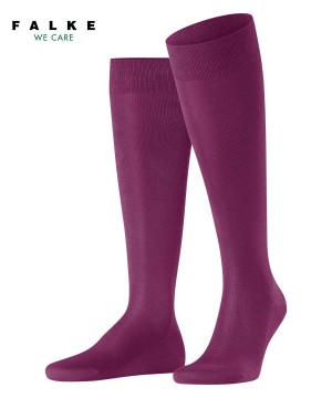 Calzini Uomo Falke Tiago Knee-high Socks Viola | FJMD97582