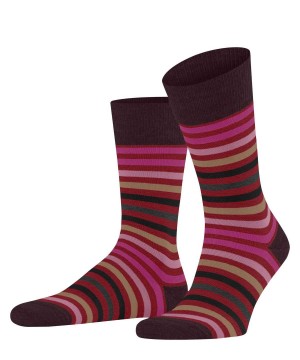 Calzini Uomo Falke Tinted Stripe Socks Rosse | EZRJ35672