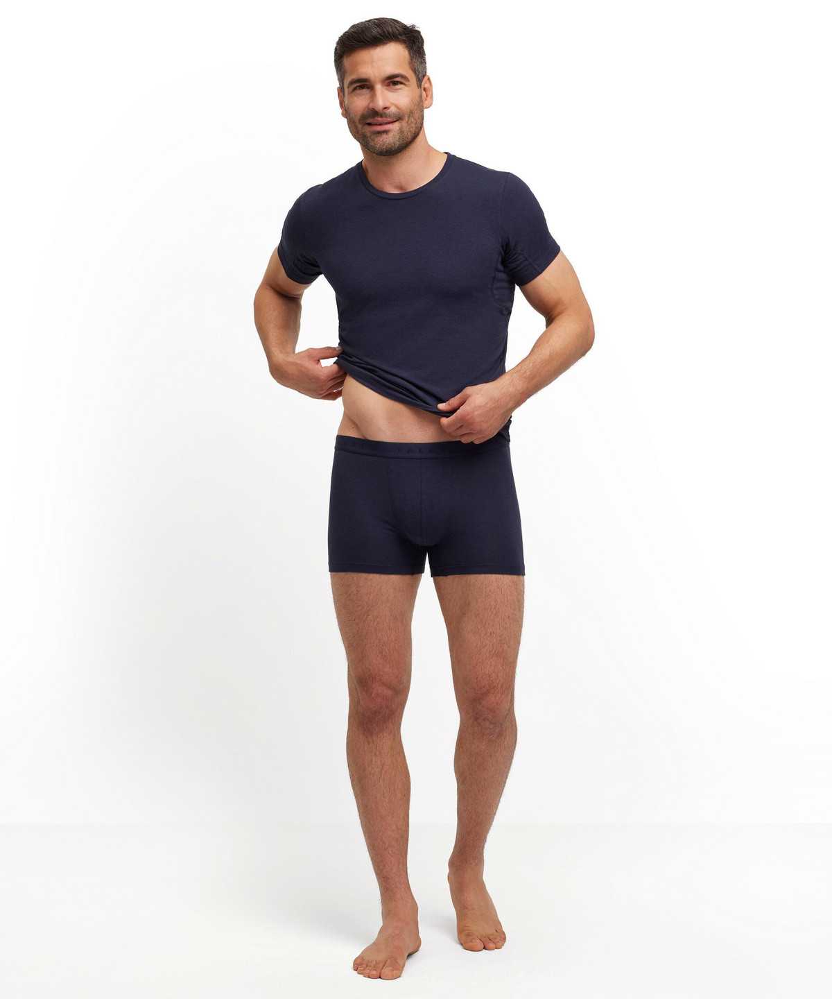 Boxer & Slips Uomo Falke Boxer Daily Climate Control Grigie | OQPJ01492