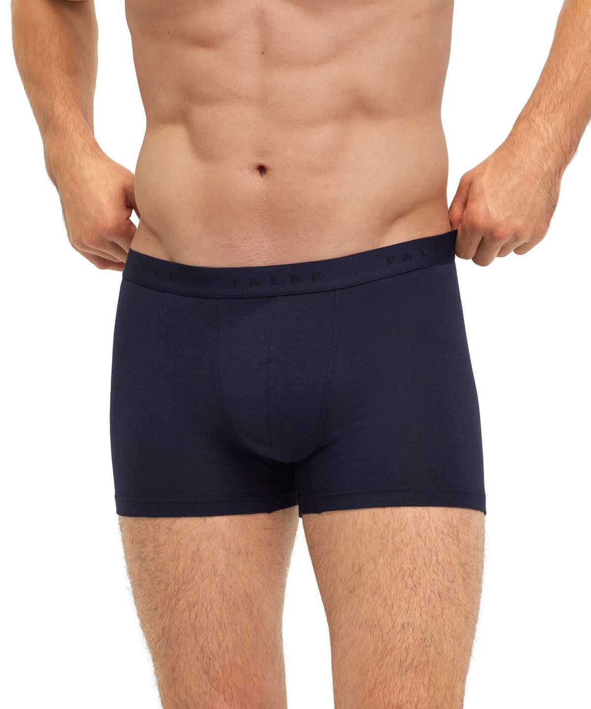 Boxer & Slips Uomo Falke Boxer Daily Climate Control Grigie | OQPJ01492