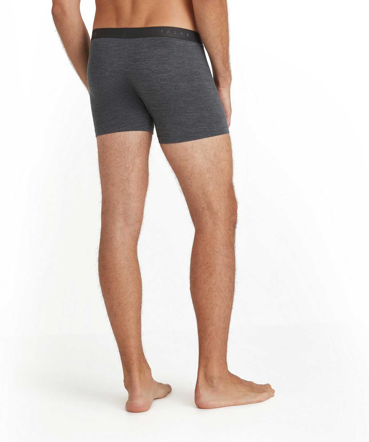 Boxer & Slips Uomo Falke Boxer Daily ClimaWool Grigie | ORSB69042