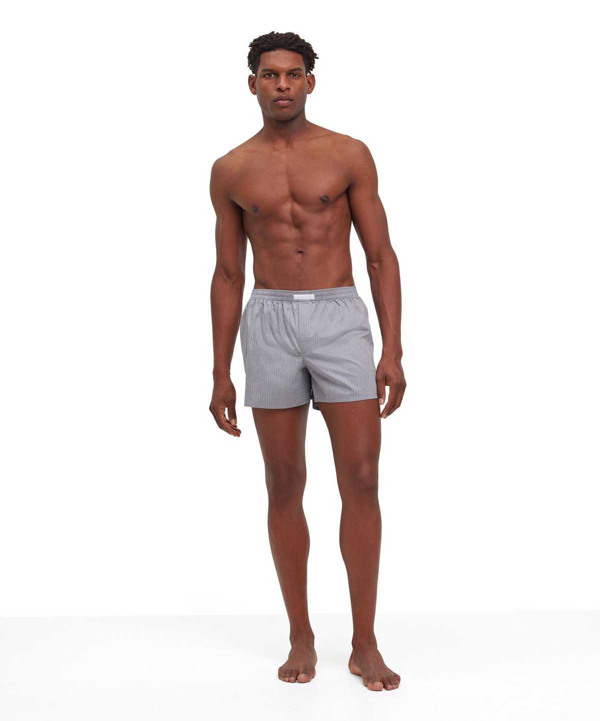 Boxer & Slips Uomo Falke Boxer Grigie | NRLD24135