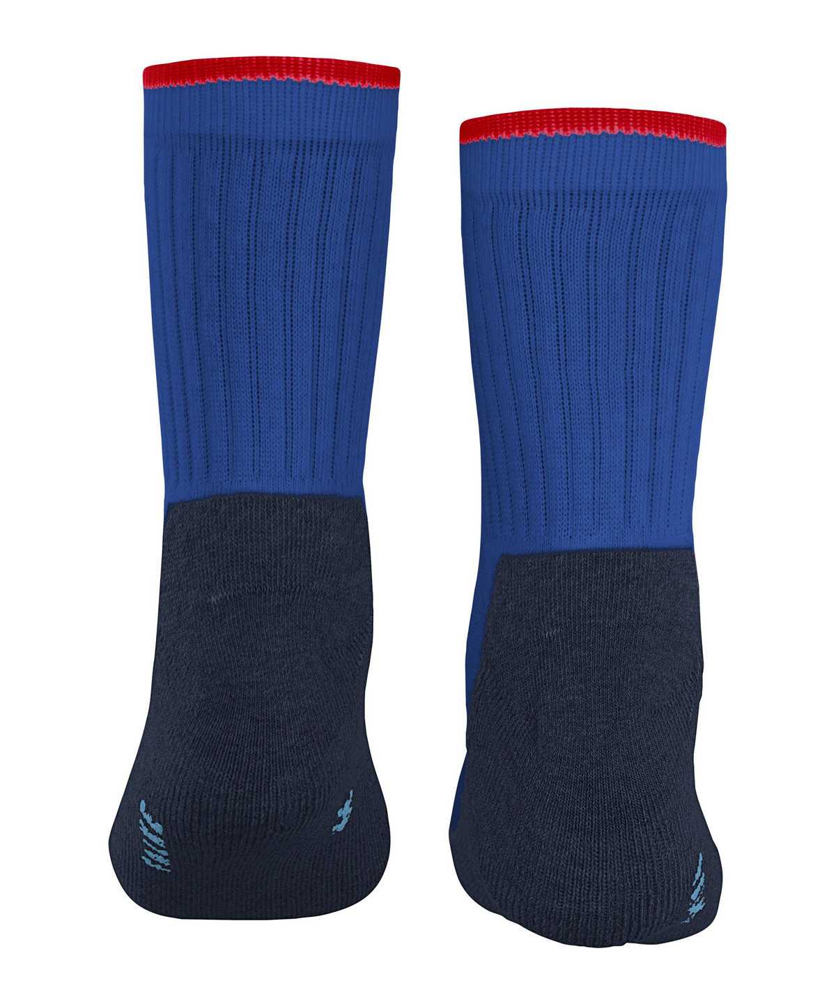 Calzini Bambino Falke Active Everyday Socks Blu | EOLN79061