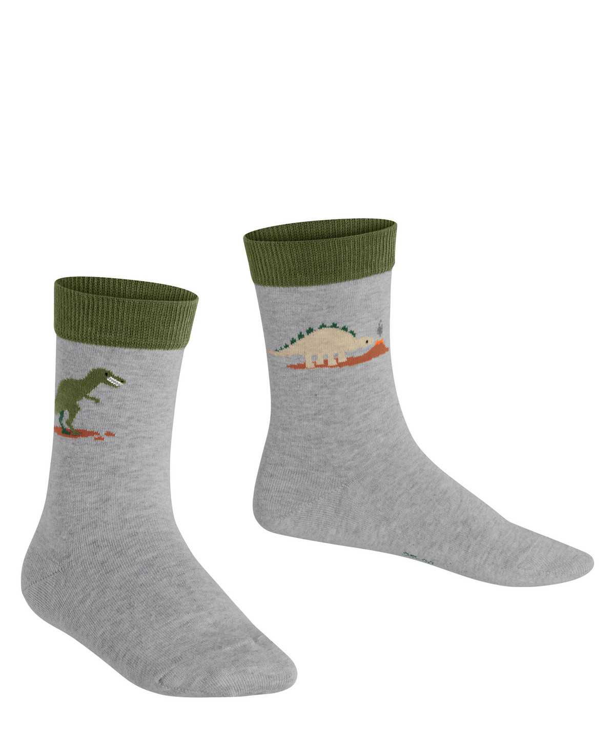 Calzini Bambino Falke Dinosaurs Socks Grigie | QCFL13597