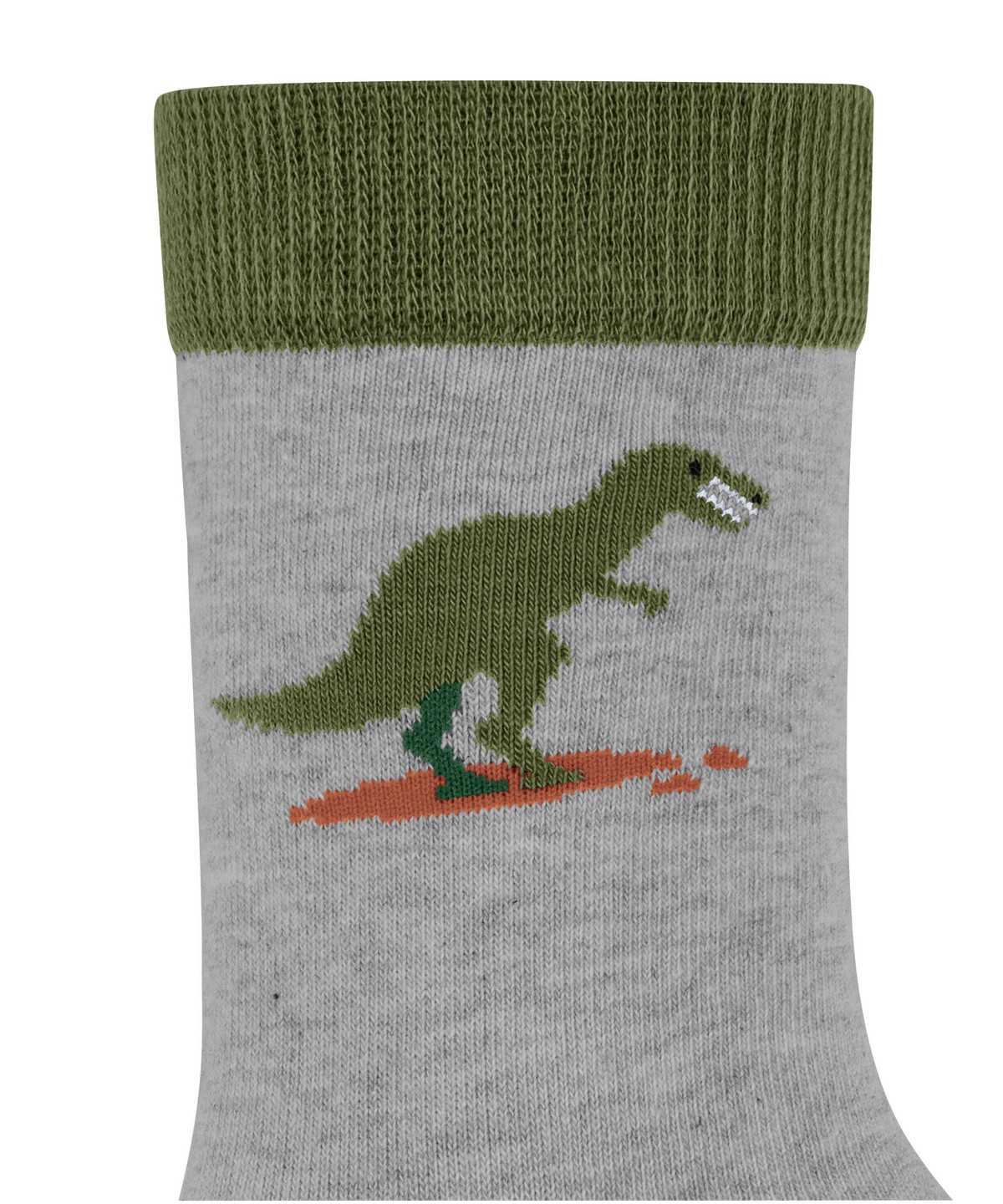 Calzini Bambino Falke Dinosaurs Socks Grigie | QCFL13597