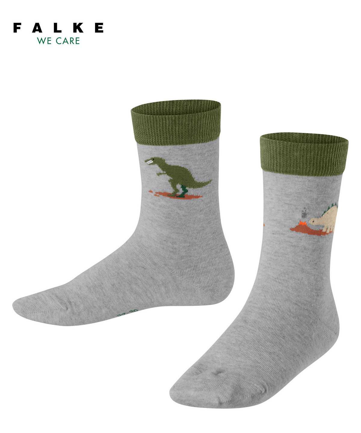 Calzini Bambino Falke Dinosaurs Socks Grigie | QCFL13597