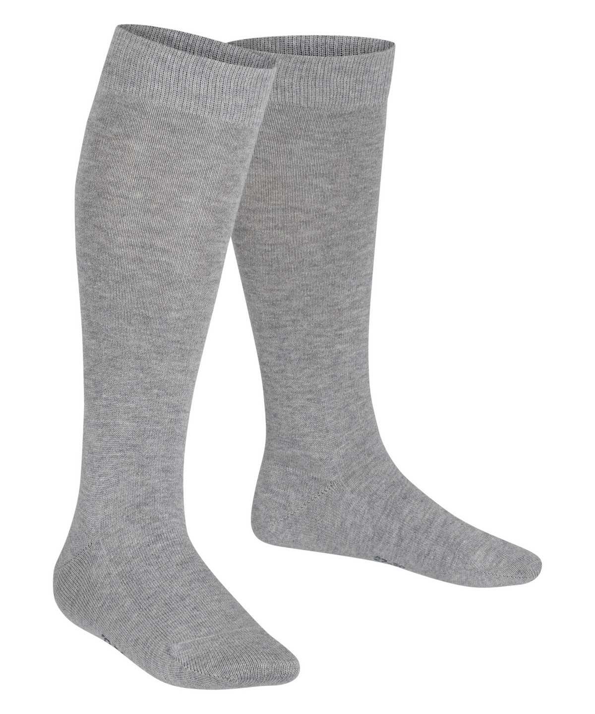 Calzini Bambino Falke Family Knee-high Socks Grigie | IGMX03168