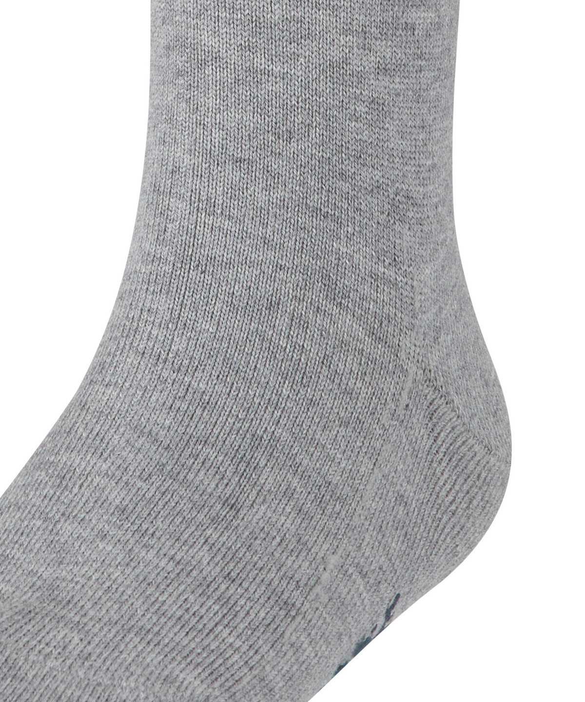 Calzini Bambino Falke Family Knee-high Socks Grigie | IGMX03168