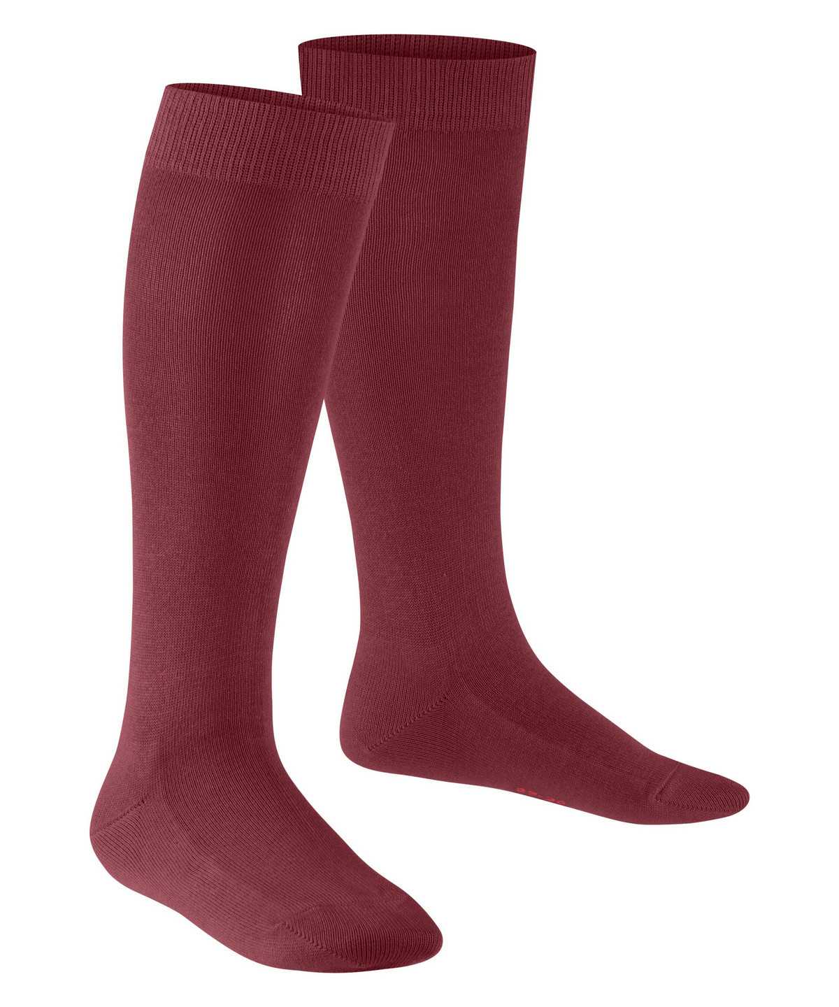 Calzini Bambino Falke Family Knee-high Socks Rosse | XMGJ61023