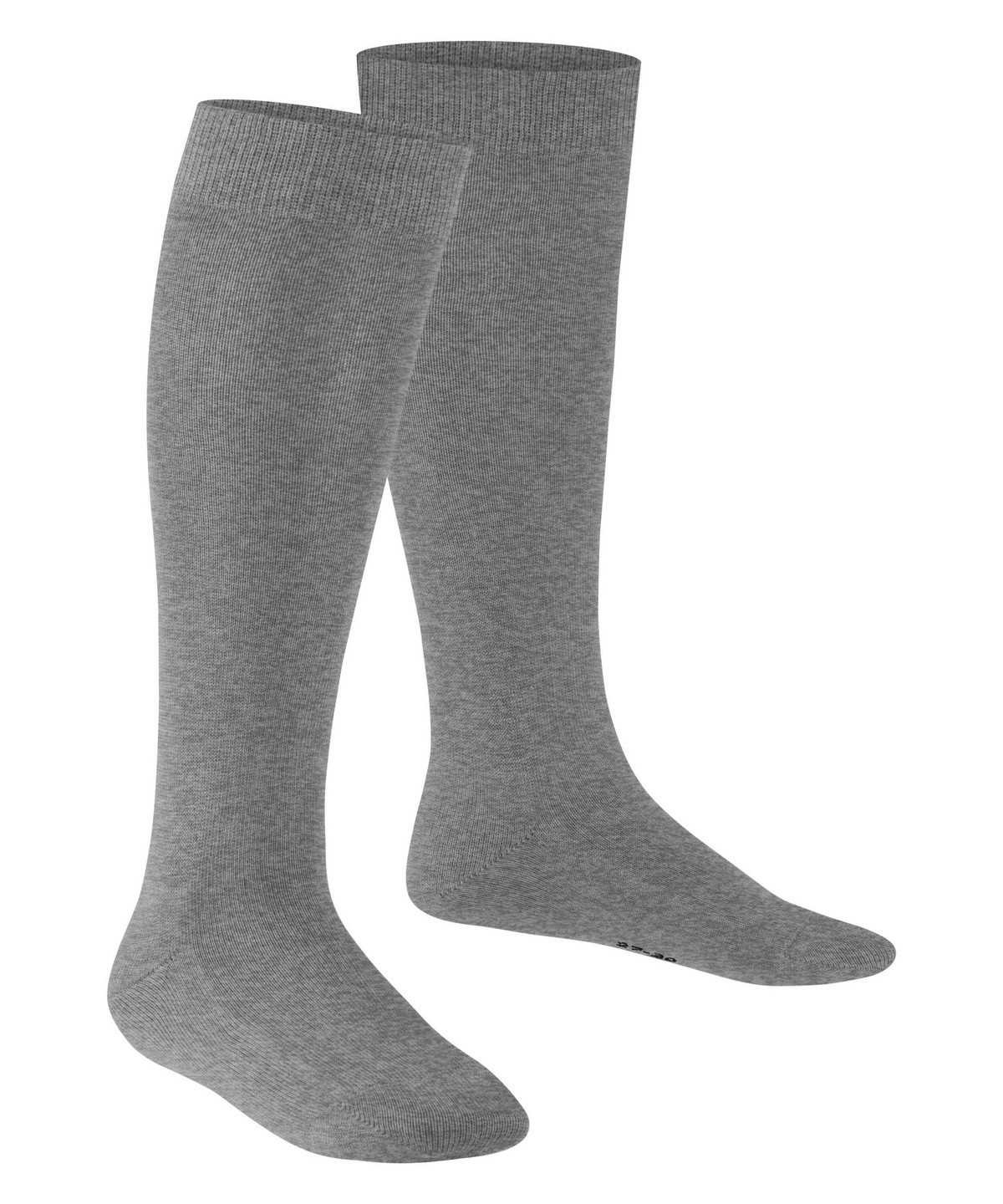 Calzini Bambino Falke Family Knee-high Socks Grigie | JDLC71092