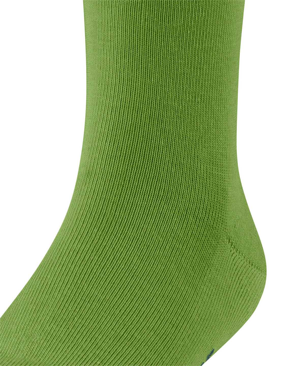 Calzini Bambino Falke Family Socks Verdi | IVTN47501