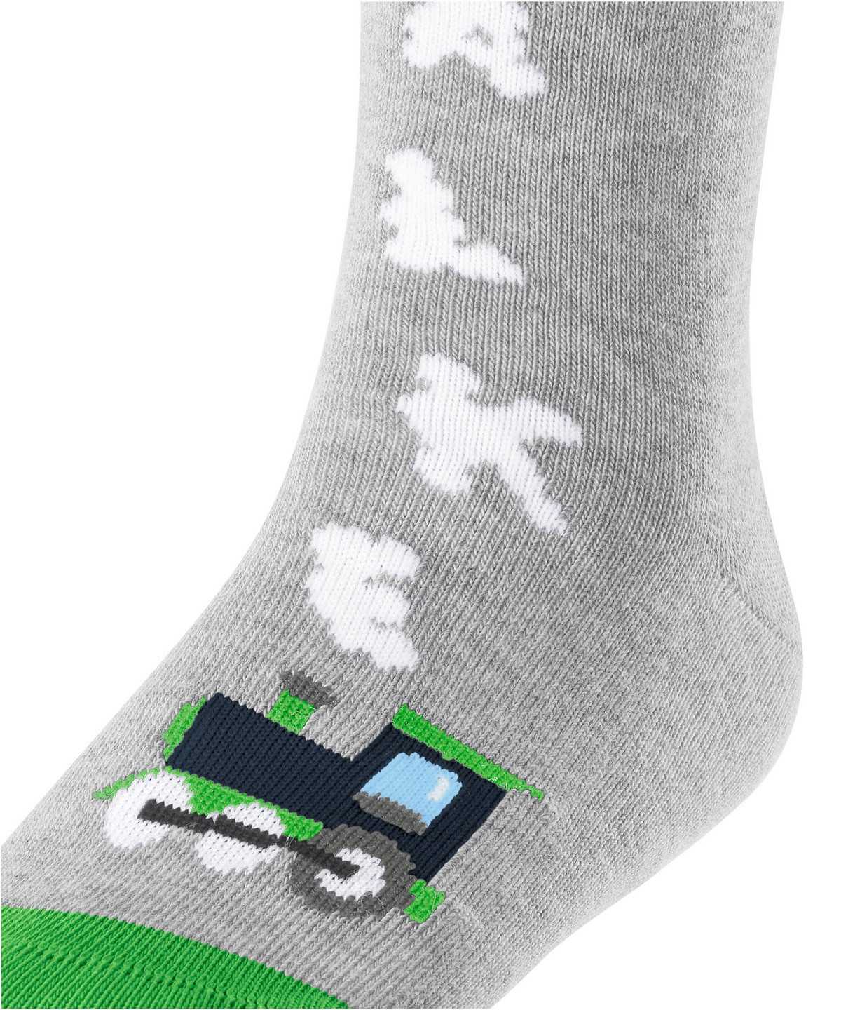 Calzini Bambino Falke Happy Locomotive Socks Grigie | OHWM01259