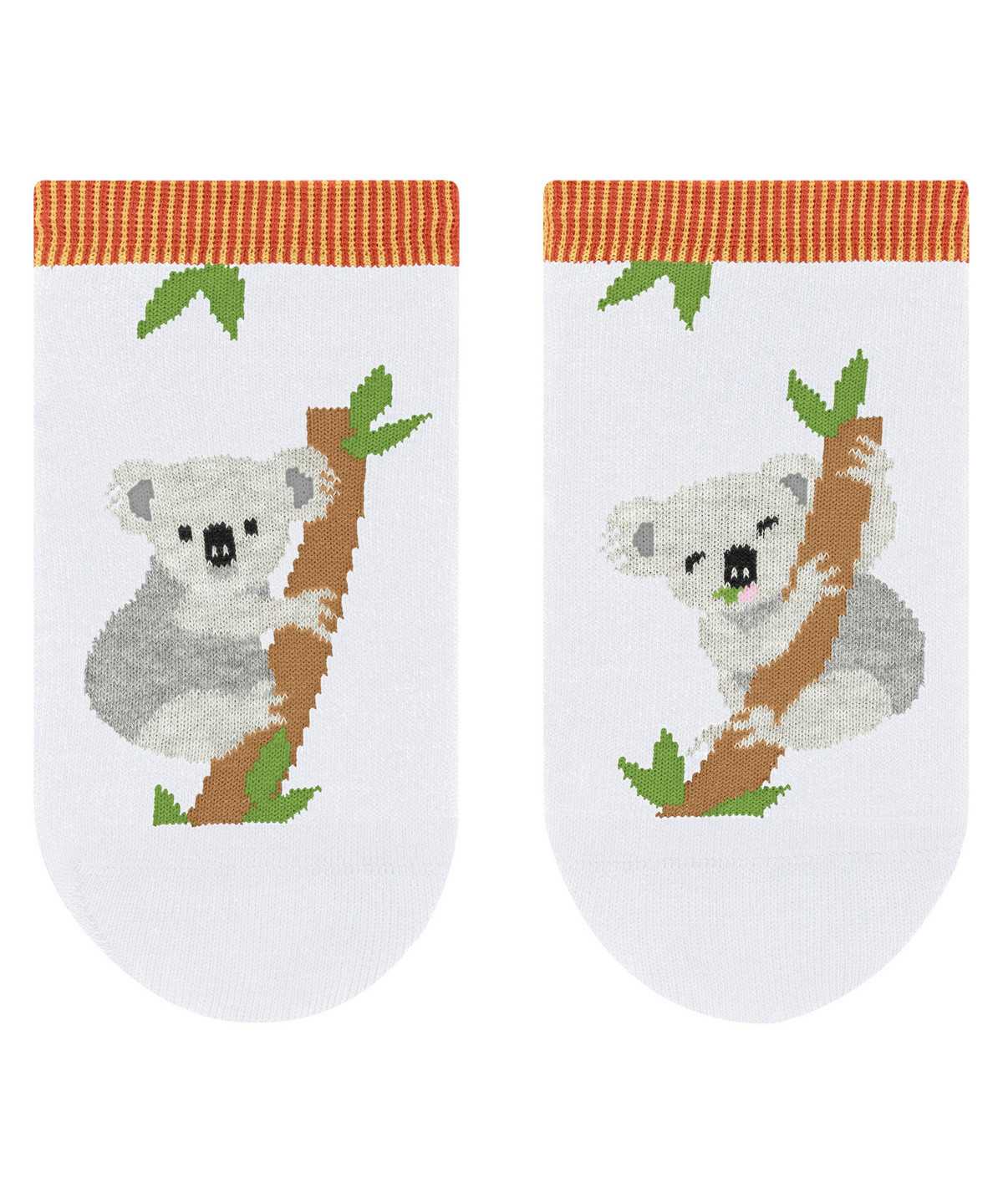 Calzini Bambino Falke Koala Friends Sneaker socks Bianche | ELNM12690