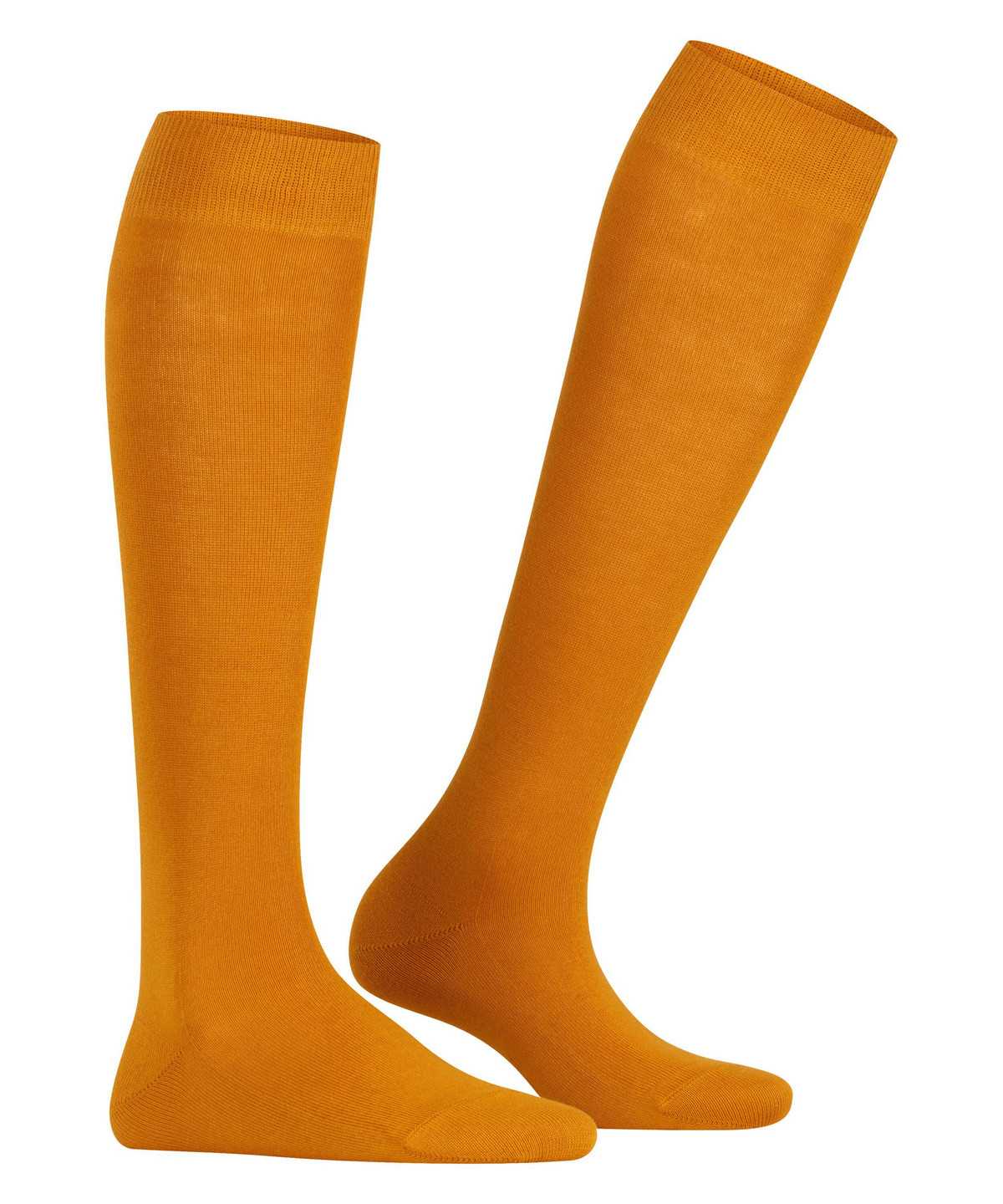 Calzini Donna Falke Family Knee-high Socks Gialle | DUVG31674