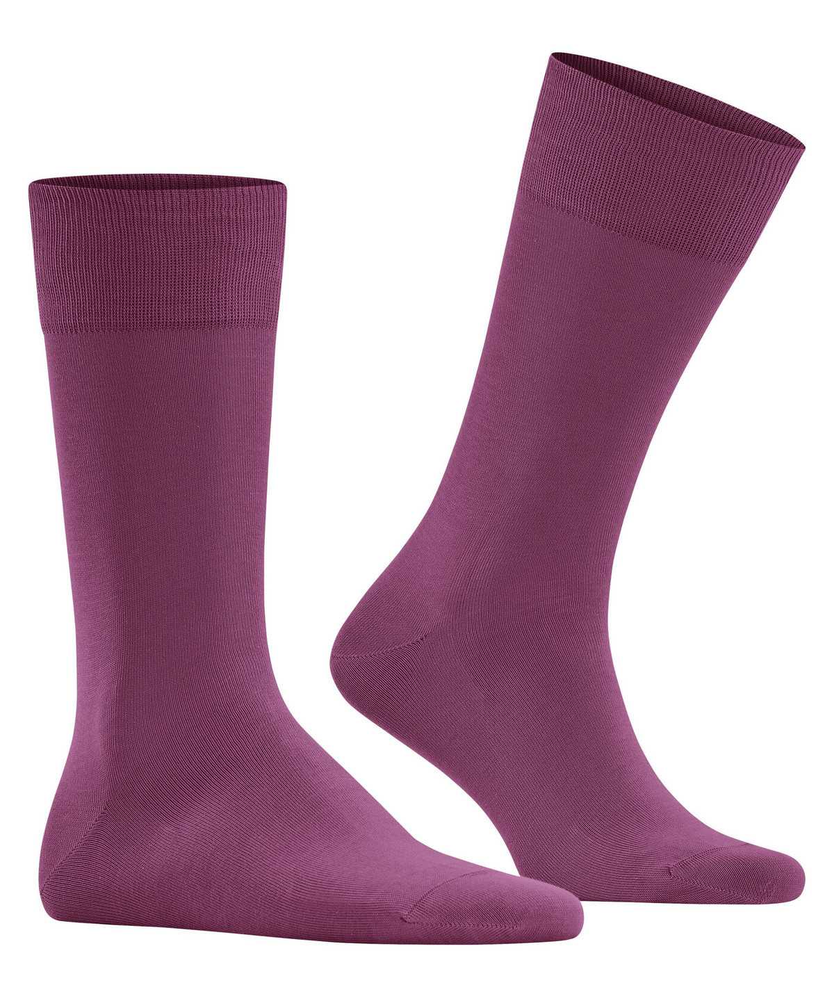 Calzini Uomo Falke Cool 24/7 Socks Viola | BQRT36901