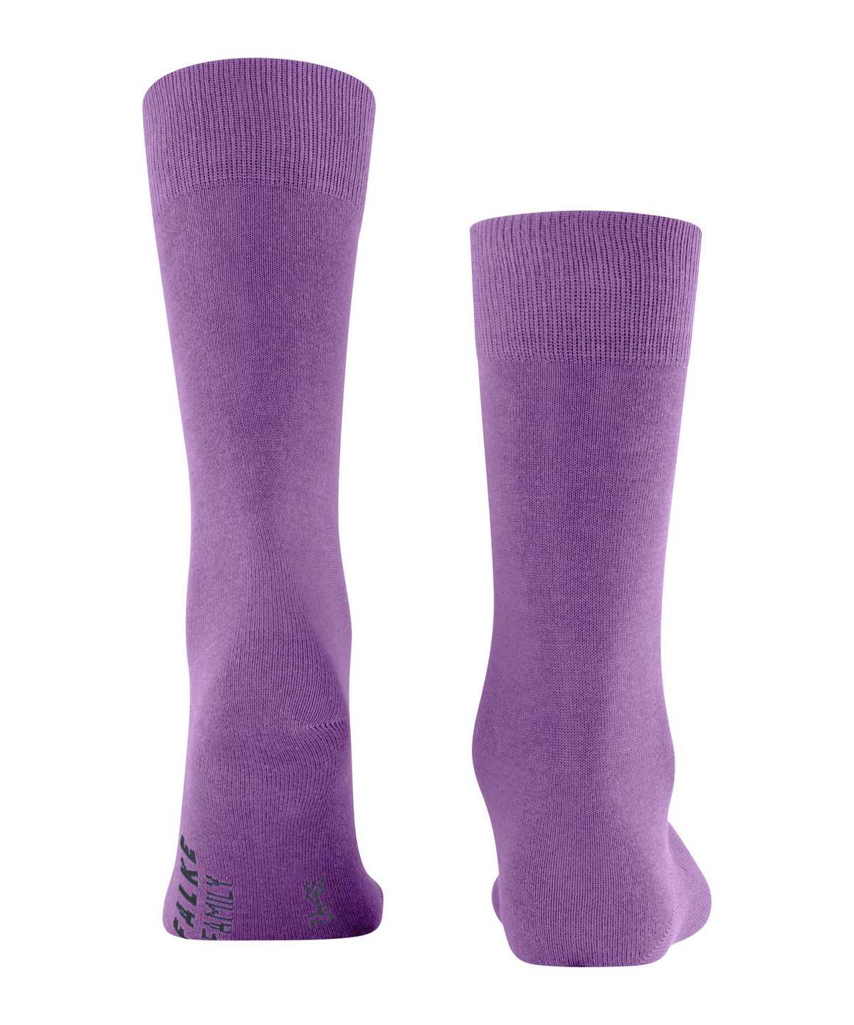 Calzini Uomo Falke Family Socks Viola | STAJ07194