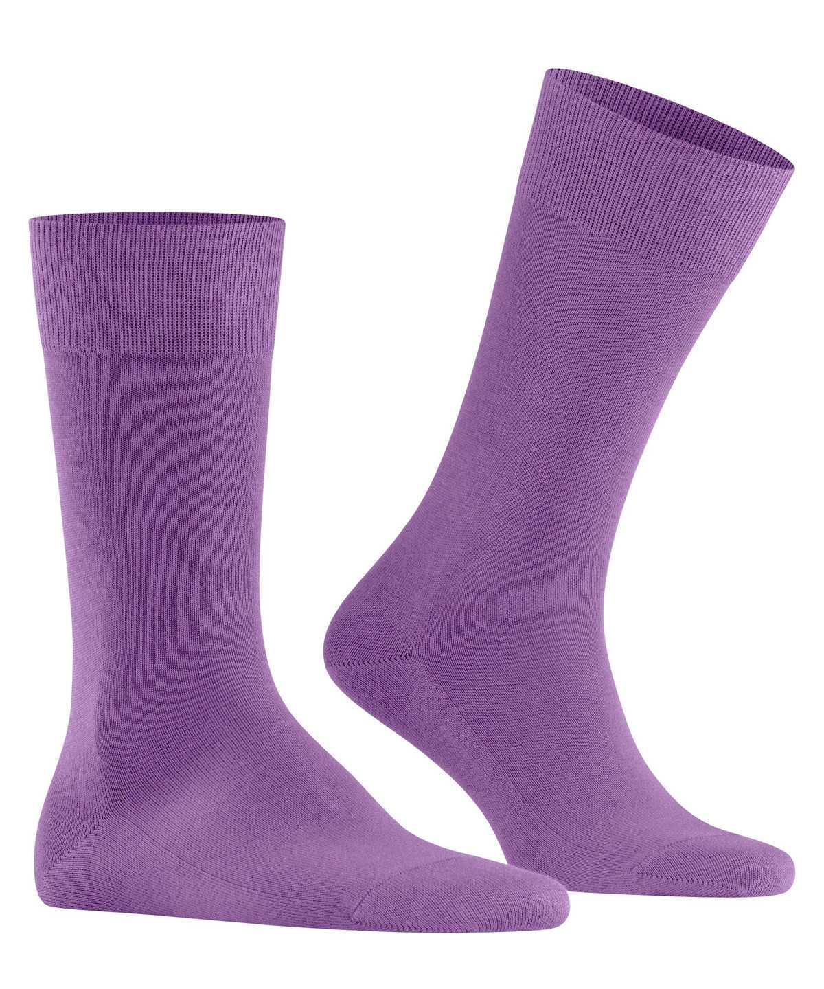 Calzini Uomo Falke Family Socks Viola | STAJ07194