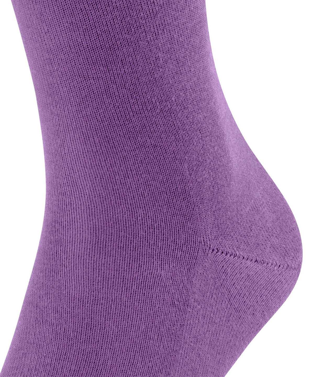 Calzini Uomo Falke Family Socks Viola | STAJ07194