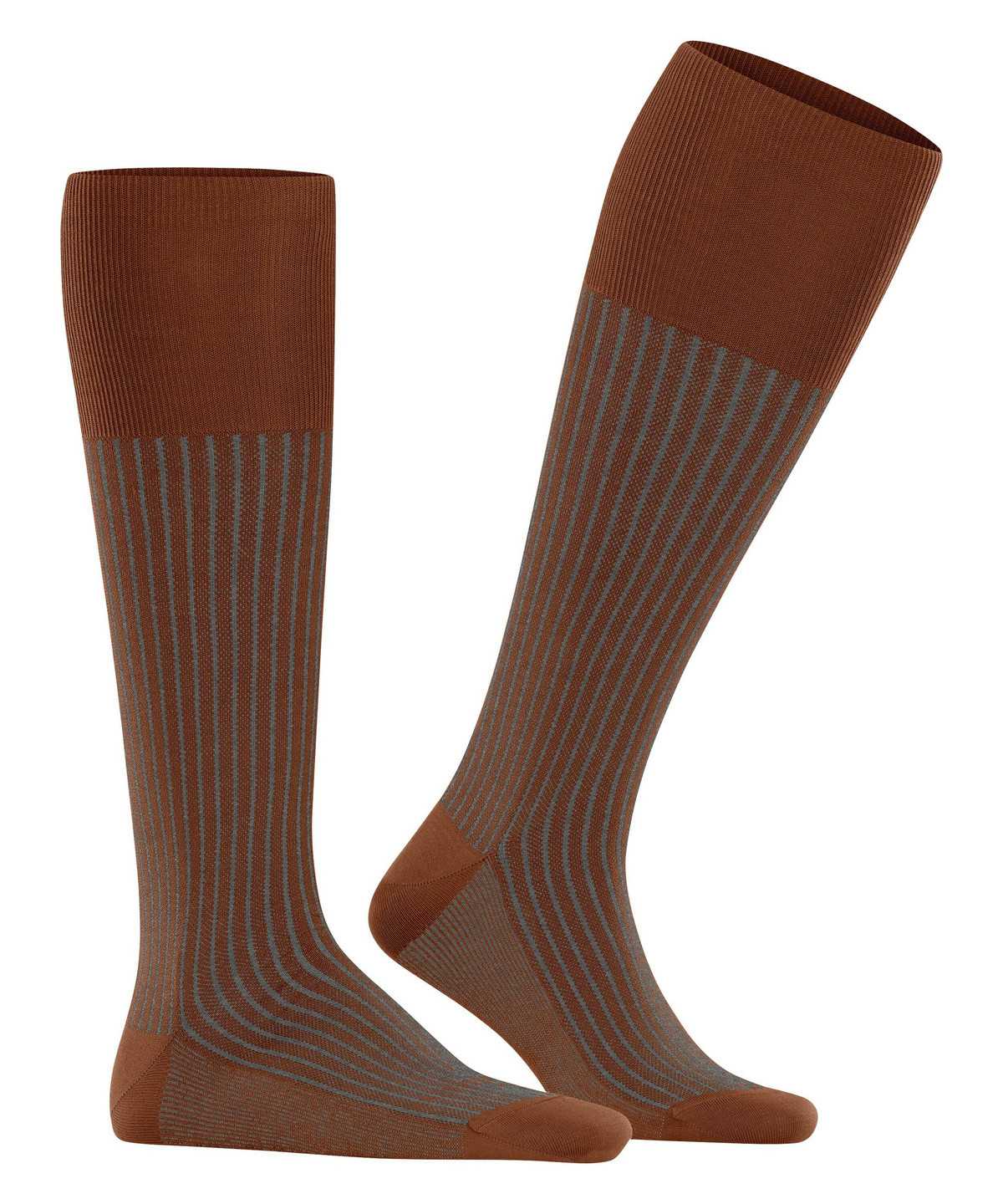 Calzini Uomo Falke Oxford Stripe Knee-high Socks Marroni | YQBA24156