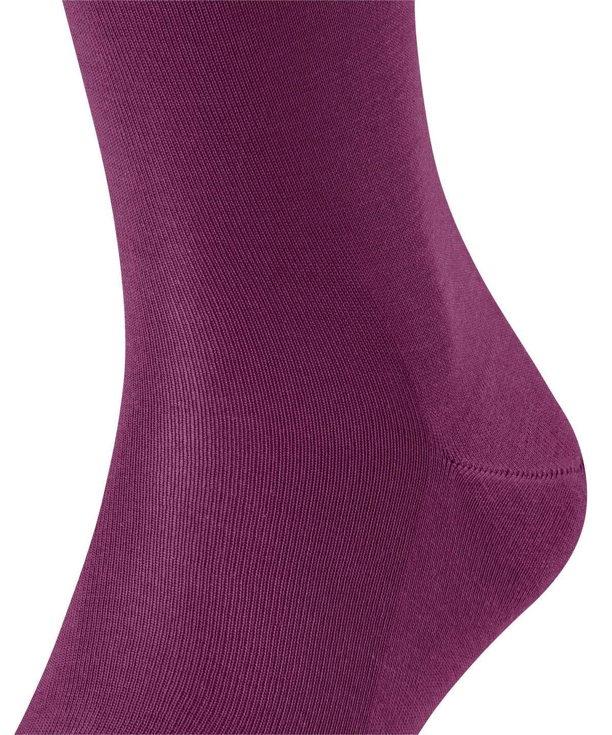 Calzini Uomo Falke Tiago Knee-high Socks Viola | FJMD97582