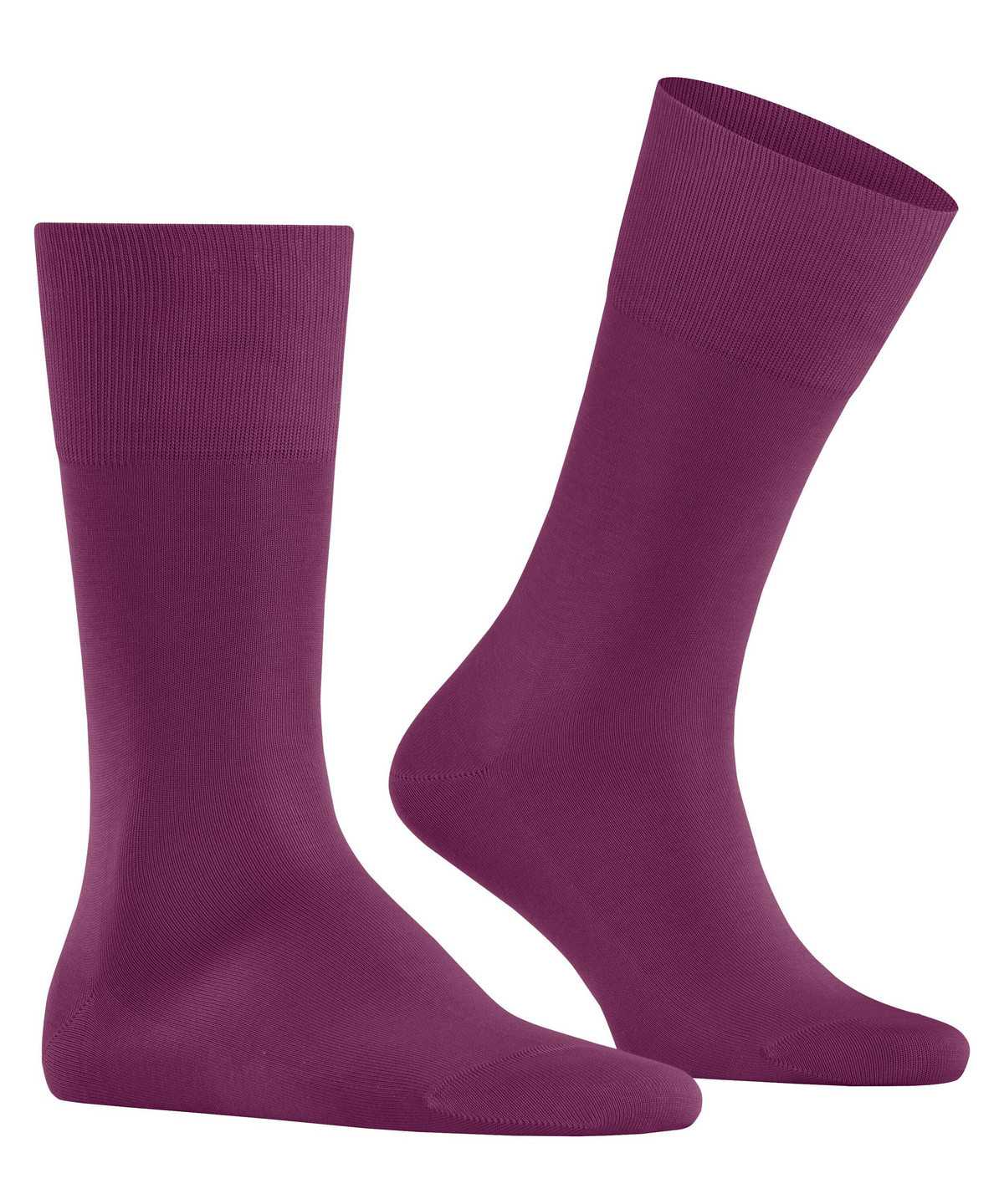 Calzini Uomo Falke Tiago Socks Viola | TYLR78461